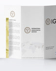 Radiant Cut Certified Lab Created Diamond Stones 1-3 TCW - Boutique Pavè
